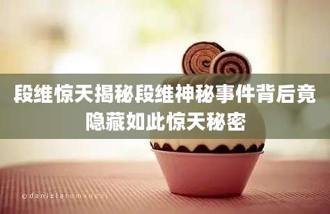 段维惊天揭秘段维神秘事件背后竟隐藏如此惊天秘密