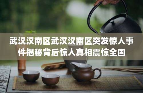 武汉汉南区武汉汉南区突发惊人事件揭秘背后惊人真相震惊全国