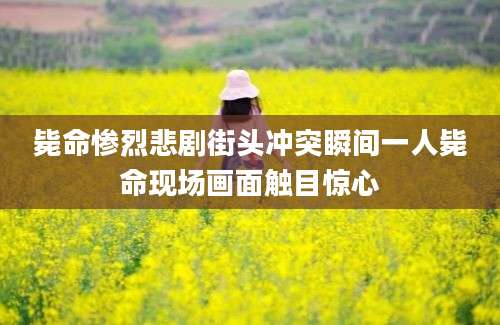 毙命惨烈悲剧街头冲突瞬间一人毙命现场画面触目惊心