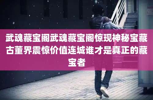 武魂藏宝阁武魂藏宝阁惊现神秘宝藏古董界震惊价值连城谁才是真正的藏宝者