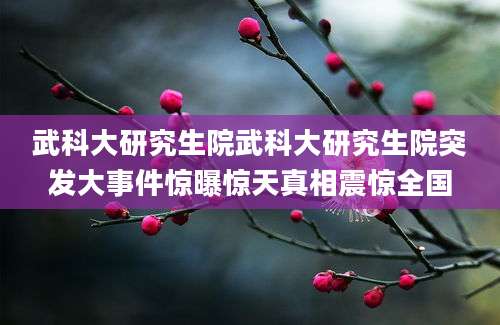 武科大研究生院武科大研究生院突发大事件惊曝惊天真相震惊全国