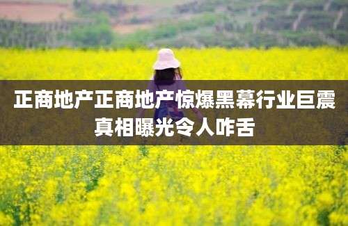 正商地产正商地产惊爆黑幕行业巨震真相曝光令人咋舌