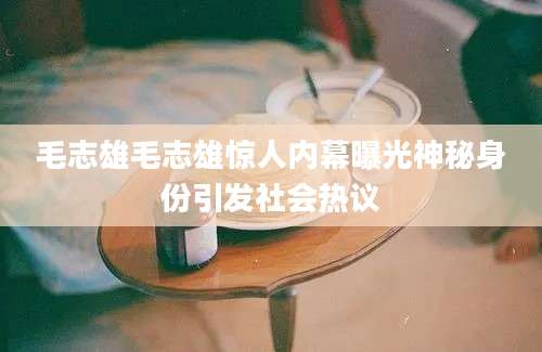 毛志雄毛志雄惊人内幕曝光神秘身份引发社会热议