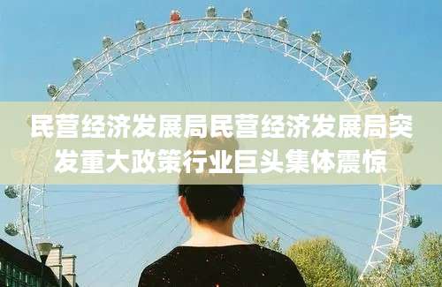 民营经济发展局民营经济发展局突发重大政策行业巨头集体震惊