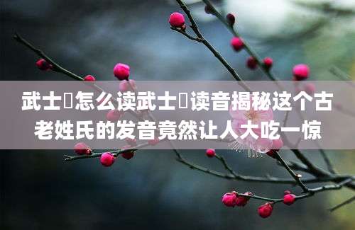 武士彟怎么读武士彟读音揭秘这个古老姓氏的发音竟然让人大吃一惊