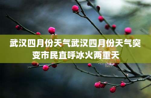 武汉四月份天气武汉四月份天气突变市民直呼冰火两重天