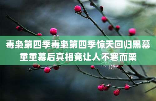 毒枭第四季毒枭第四季惊天回归黑幕重重幕后真相竟让人不寒而栗