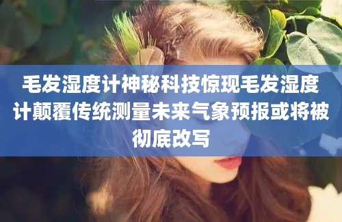 毛发湿度计神秘科技惊现毛发湿度计颠覆传统测量未来气象预报或将被彻底改写