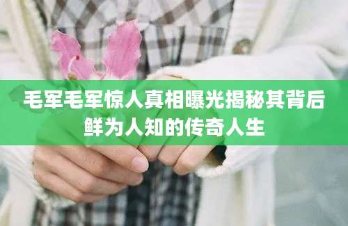毛军毛军惊人真相曝光揭秘其背后鲜为人知的传奇人生
