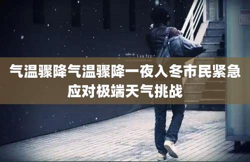 气温骤降气温骤降一夜入冬市民紧急应对极端天气挑战