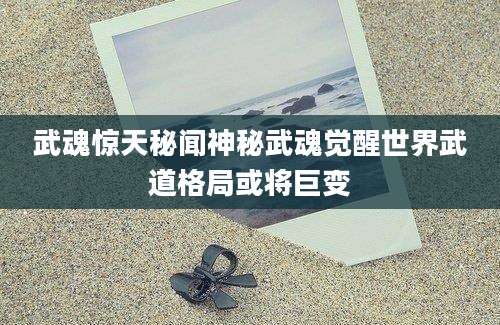 武魂惊天秘闻神秘武魂觉醒世界武道格局或将巨变