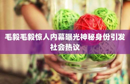 毛毅毛毅惊人内幕曝光神秘身份引发社会热议