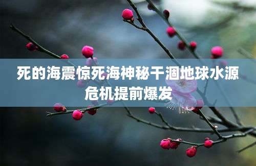 死的海震惊死海神秘干涸地球水源危机提前爆发