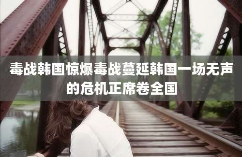 毒战韩国惊爆毒战蔓延韩国一场无声的危机正席卷全国