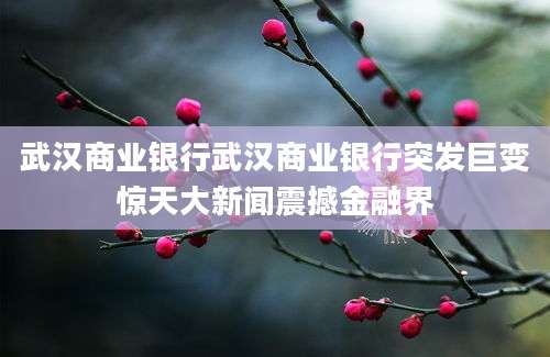 武汉商业银行武汉商业银行突发巨变惊天大新闻震撼金融界