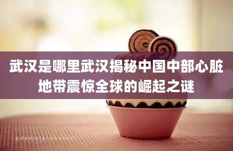 武汉是哪里武汉揭秘中国中部心脏地带震惊全球的崛起之谜