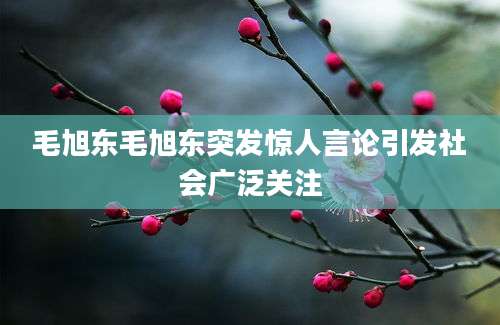 毛旭东毛旭东突发惊人言论引发社会广泛关注