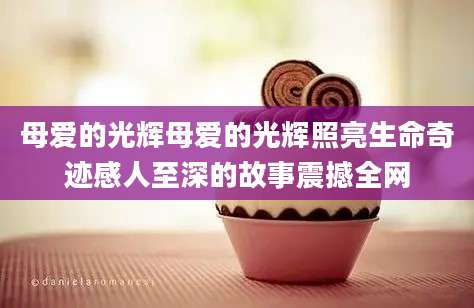 母爱的光辉母爱的光辉照亮生命奇迹感人至深的故事震撼全网