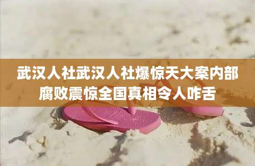 武汉人社武汉人社爆惊天大案内部腐败震惊全国真相令人咋舌
