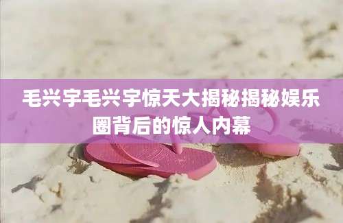 毛兴宇毛兴宇惊天大揭秘揭秘娱乐圈背后的惊人内幕