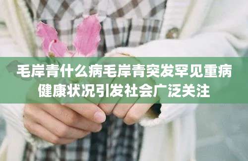 毛岸青什么病毛岸青突发罕见重病健康状况引发社会广泛关注
