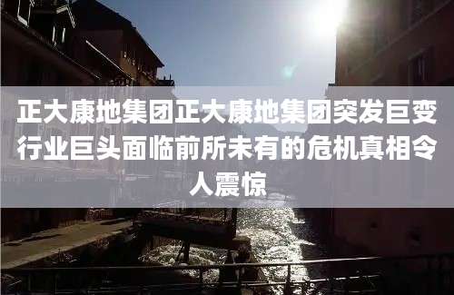 正大康地集团正大康地集团突发巨变行业巨头面临前所未有的危机真相令人震惊