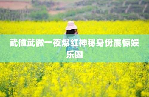 武微武微一夜爆红神秘身份震惊娱乐圈