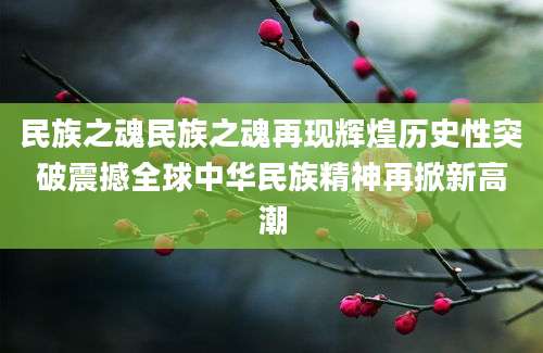民族之魂民族之魂再现辉煌历史性突破震撼全球中华民族精神再掀新高潮