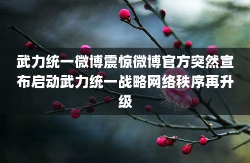 武力统一微博震惊微博官方突然宣布启动武力统一战略网络秩序再升级
