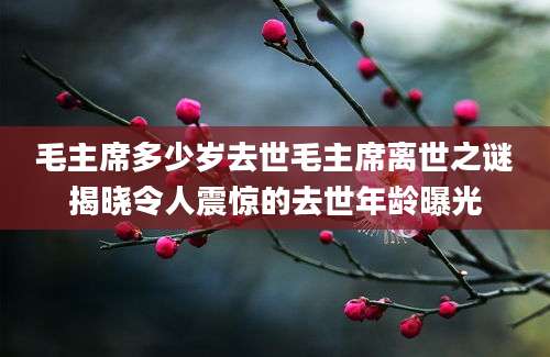 毛主席多少岁去世毛主席离世之谜揭晓令人震惊的去世年龄曝光