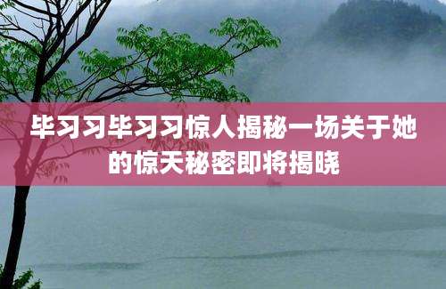 毕习习毕习习惊人揭秘一场关于她的惊天秘密即将揭晓
