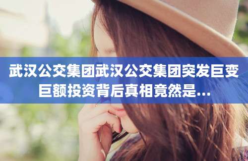 武汉公交集团武汉公交集团突发巨变巨额投资背后真相竟然是...