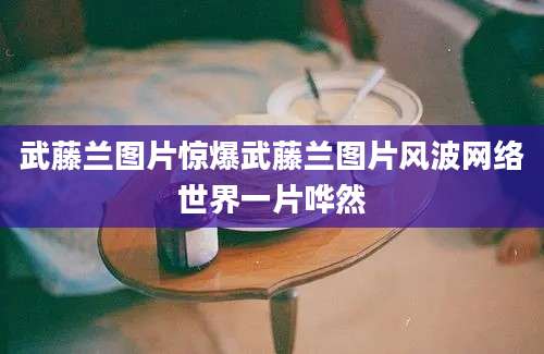武藤兰图片惊爆武藤兰图片风波网络世界一片哗然