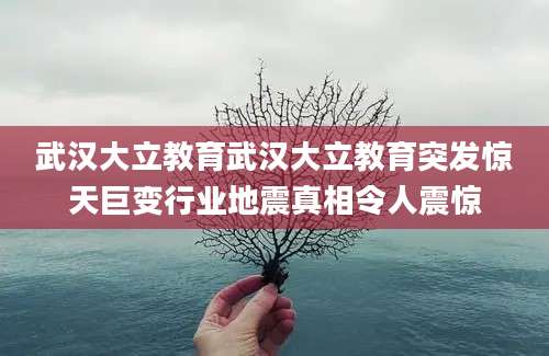 武汉大立教育武汉大立教育突发惊天巨变行业地震真相令人震惊