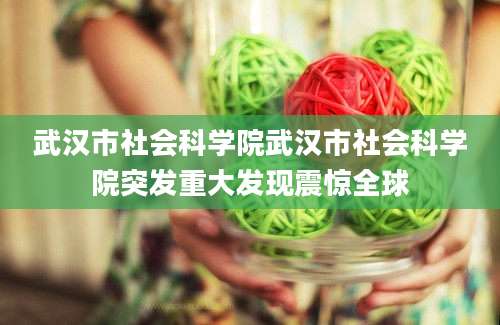 武汉市社会科学院武汉市社会科学院突发重大发现震惊全球