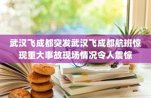 武汉飞成都突发武汉飞成都航班惊现重大事故现场情况令人震惊