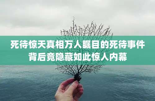 死待惊天真相万人瞩目的死待事件背后竟隐藏如此惊人内幕