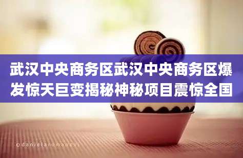武汉中央商务区武汉中央商务区爆发惊天巨变揭秘神秘项目震惊全国