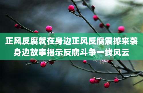 正风反腐就在身边正风反腐震撼来袭身边故事揭示反腐斗争一线风云