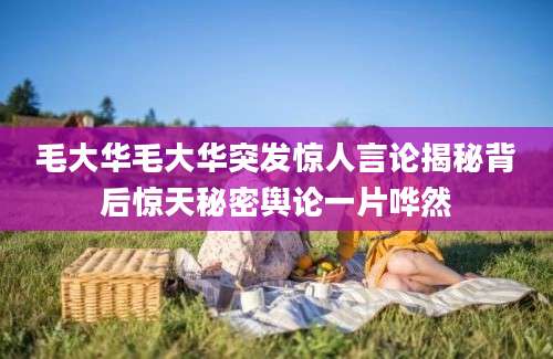 毛大华毛大华突发惊人言论揭秘背后惊天秘密舆论一片哗然