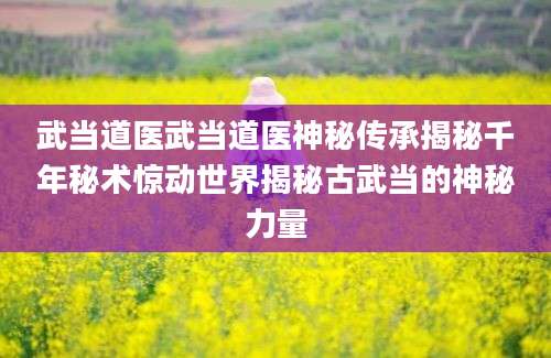 武当道医武当道医神秘传承揭秘千年秘术惊动世界揭秘古武当的神秘力量