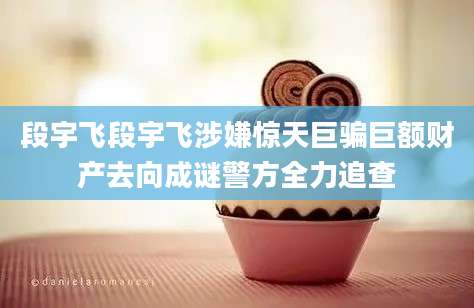 段宇飞段宇飞涉嫌惊天巨骗巨额财产去向成谜警方全力追查