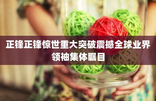 正锋正锋惊世重大突破震撼全球业界领袖集体瞩目