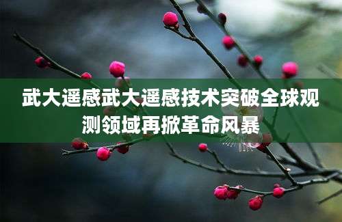 武大遥感武大遥感技术突破全球观测领域再掀革命风暴
