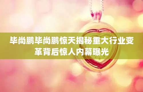 毕尚鹏毕尚鹏惊天揭秘重大行业变革背后惊人内幕曝光