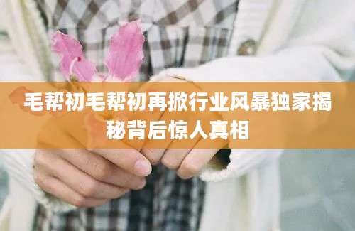 毛帮初毛帮初再掀行业风暴独家揭秘背后惊人真相