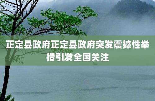 正定县政府正定县政府突发震撼性举措引发全国关注