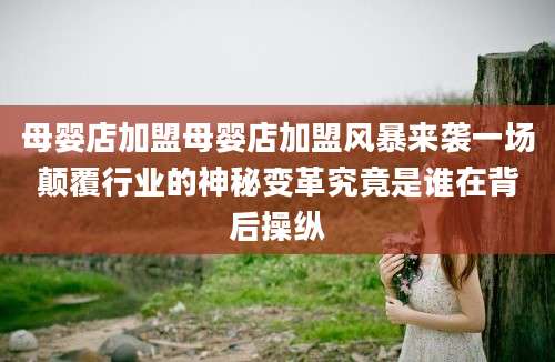 母婴店加盟母婴店加盟风暴来袭一场颠覆行业的神秘变革究竟是谁在背后操纵