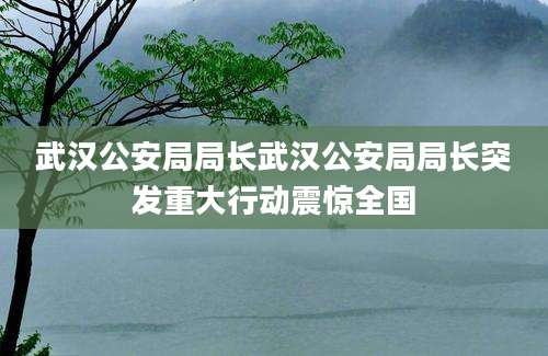 武汉公安局局长武汉公安局局长突发重大行动震惊全国