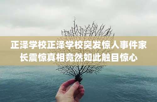 正泽学校正泽学校突发惊人事件家长震惊真相竟然如此触目惊心